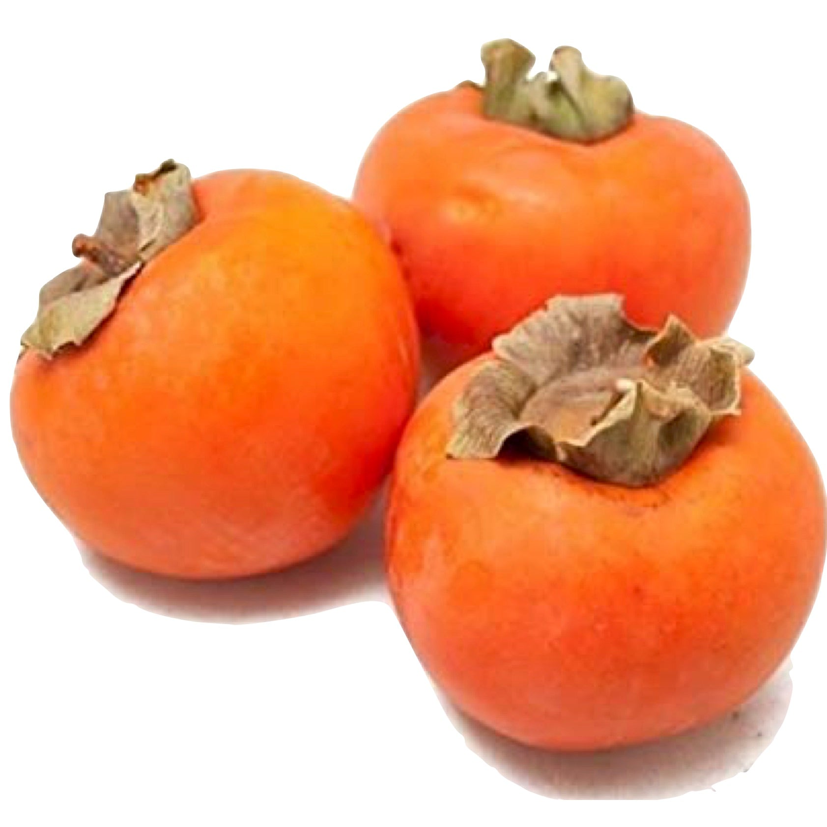 New Water Farms persimmon salsa has the perfect blend of vine ripened tomatoes and fresh cut persimmons.. It's one of our all time favorites, fresh from the farm.